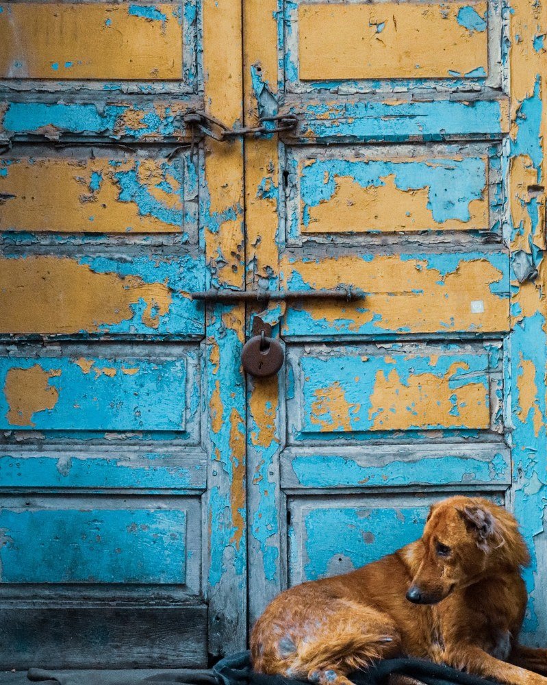 Photograph by Shenoy Chakerwarti