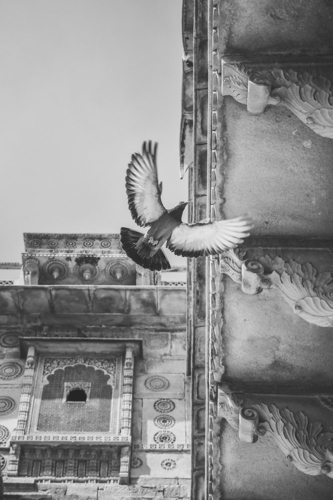 Photograph by Advaith J J