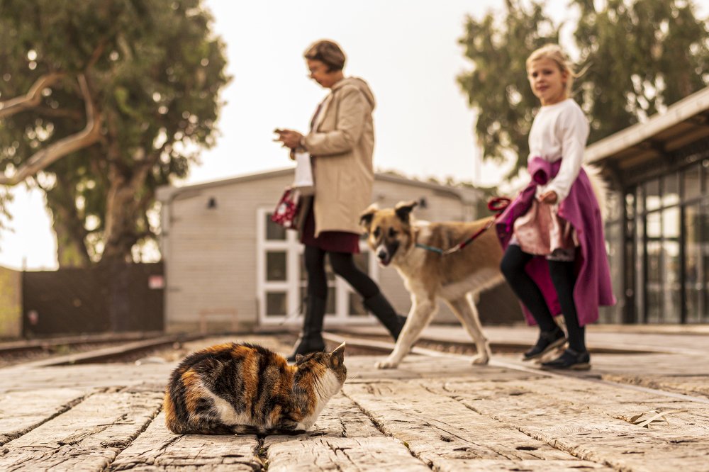 Привет - Hallo