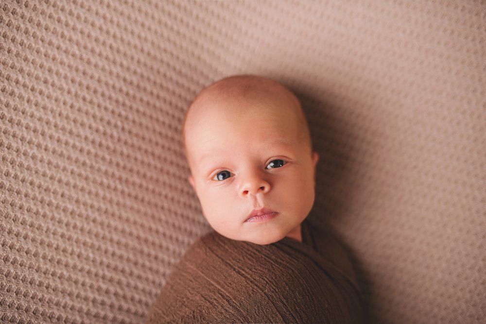 Photograph by Elena Tikhonova