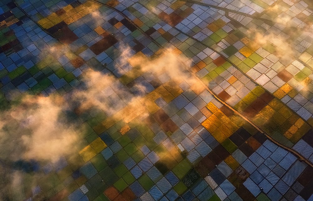 Photograph by milleryao