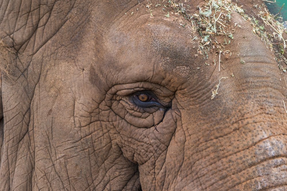 Photograph by elammouni othmane