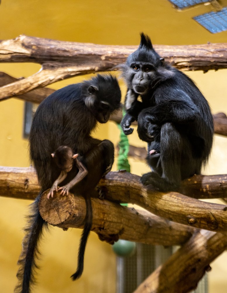 Photograph by Володимир Сорін