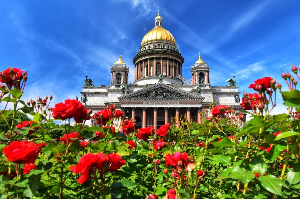 Photograph by Яна Лугинина