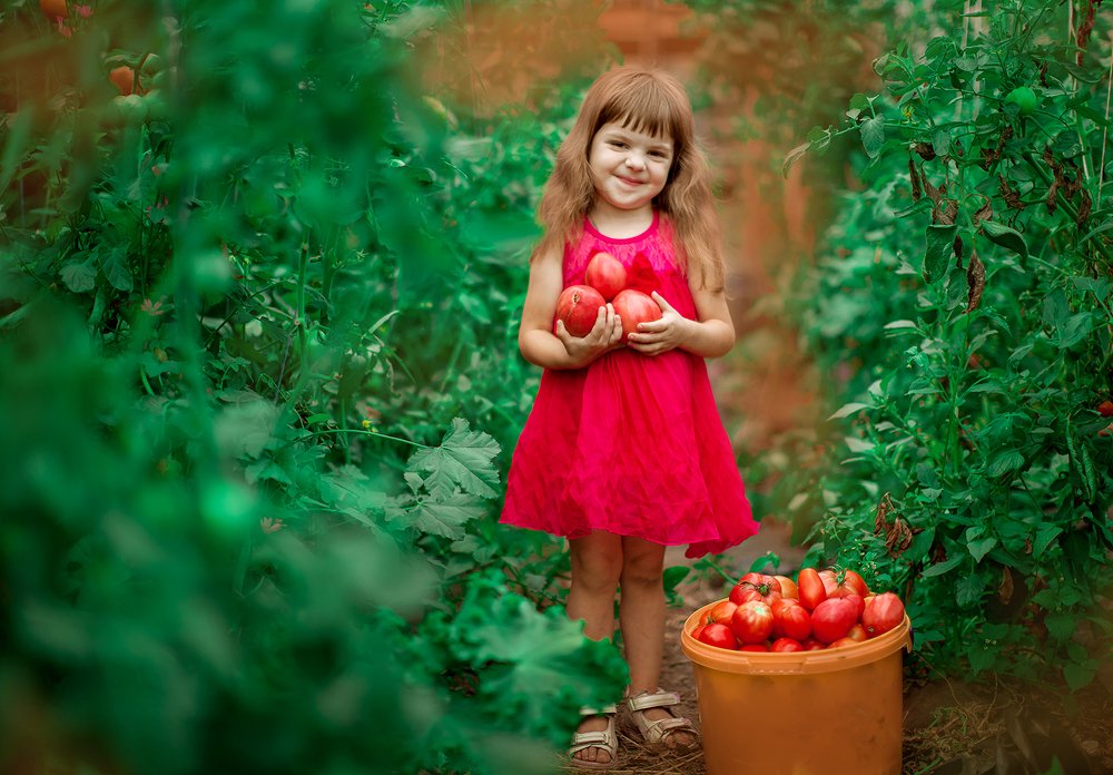 Photograph by Ліля Гуцол