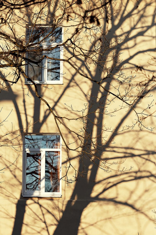 Photograph by Чистякова Валерия