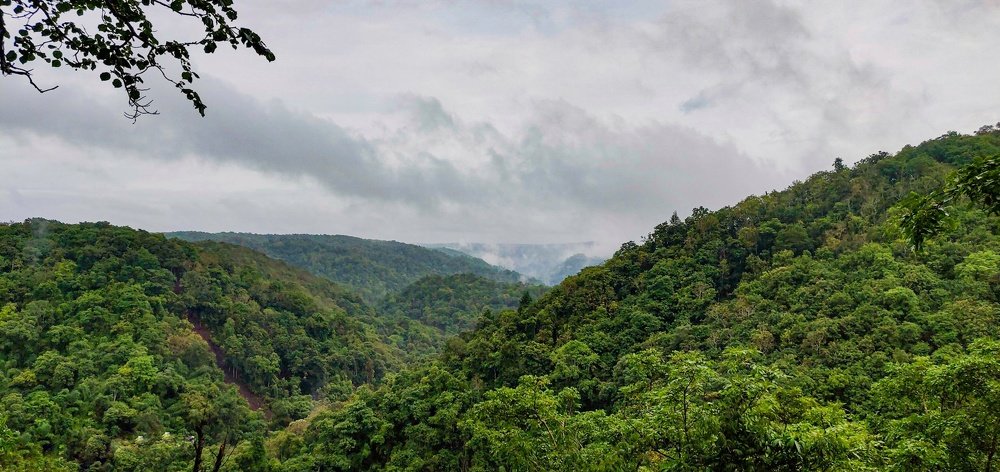Photograph by Manjunath Patil