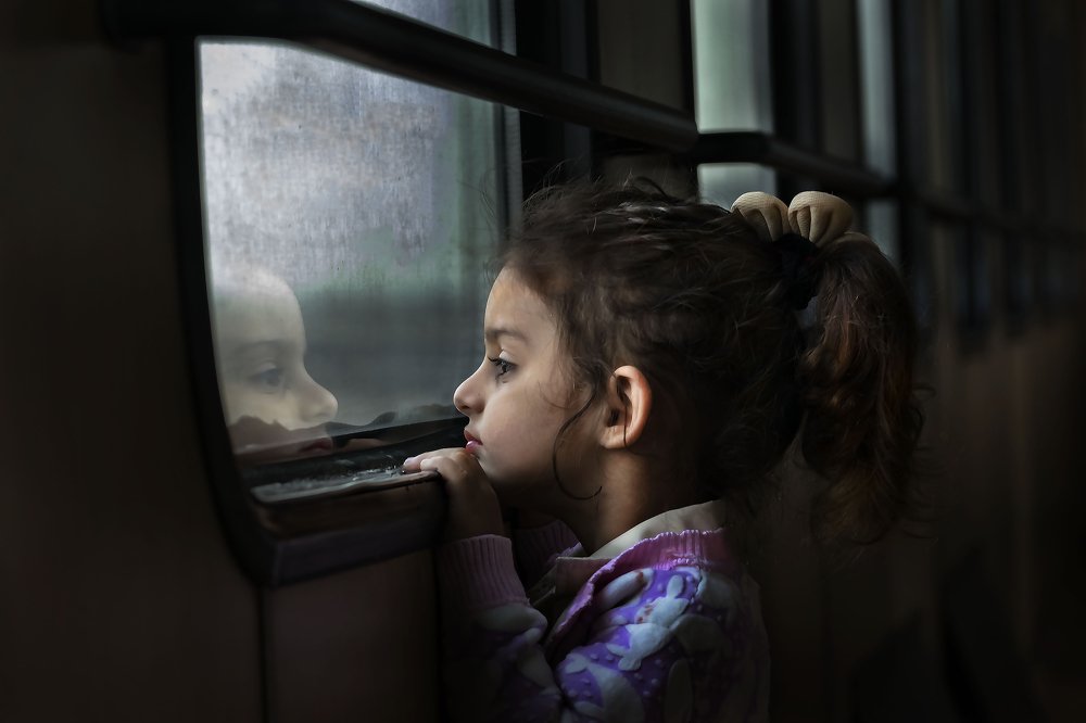 Фотография автора ziba alirezaei58