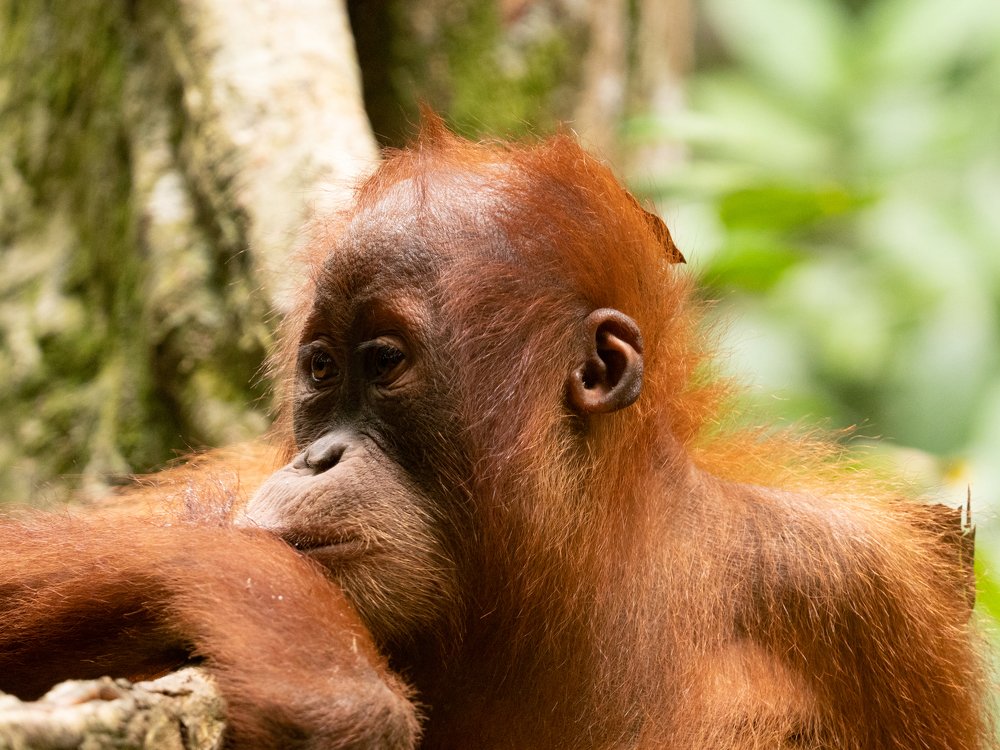 Photograph by Photons Reflectitur