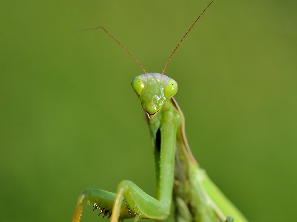 Photograph by Людмила Шалина