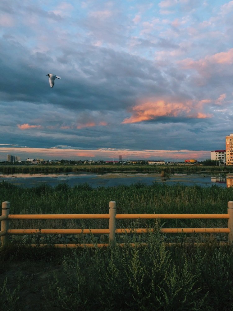 Photograph by Саргылаана Дмитриева