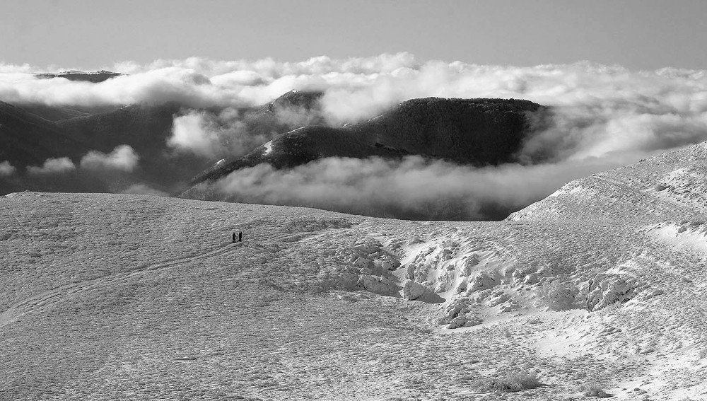 Photograph by Михаил Баевский