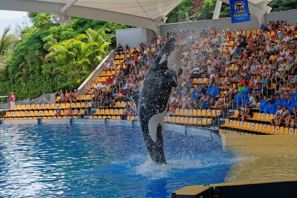 Photograph by Сергей Стукен