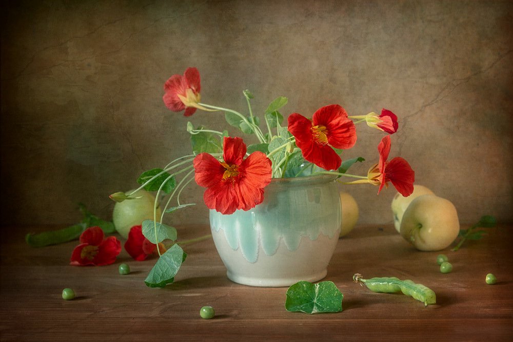 Ярко разодетые настурции...