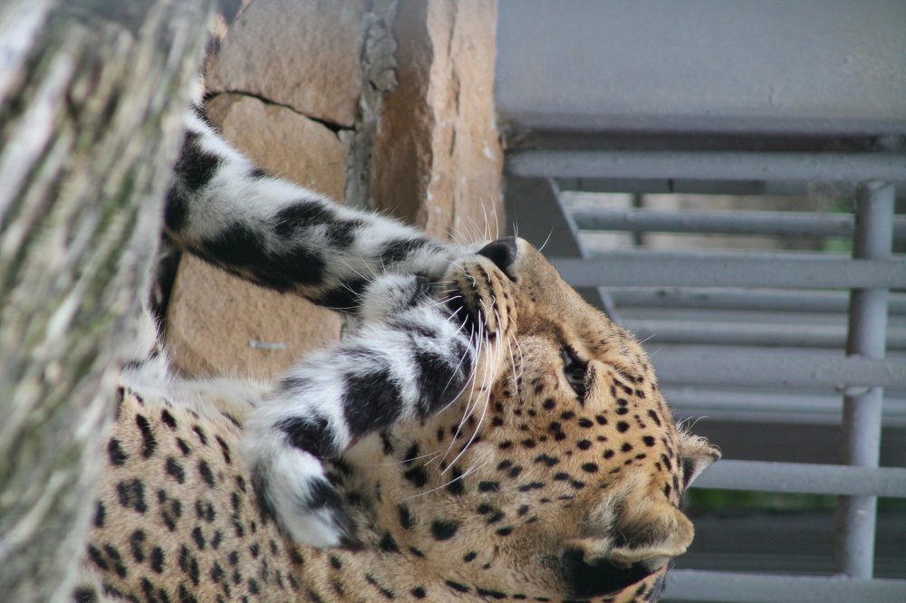 Photograph by Ирина Поваляева