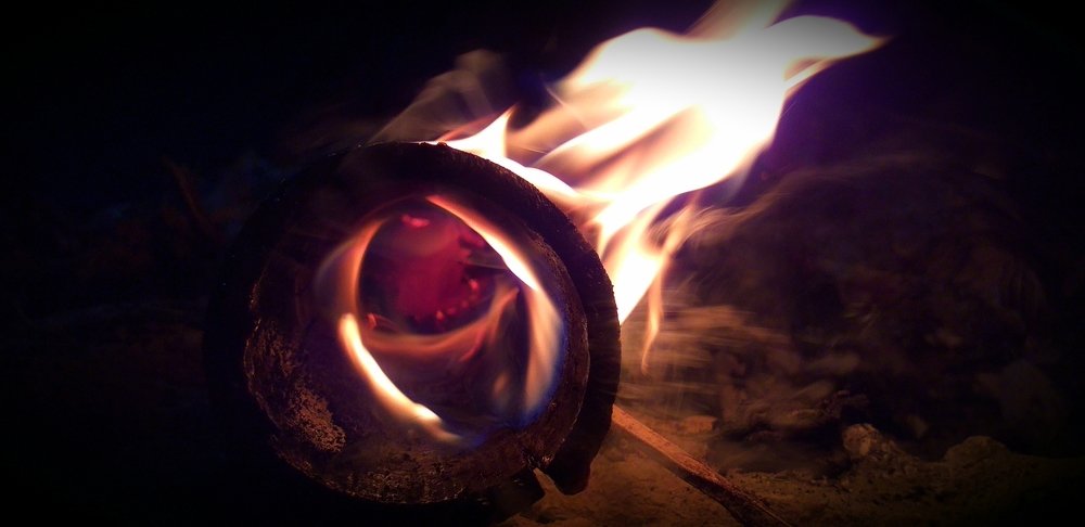 Photo #4104116