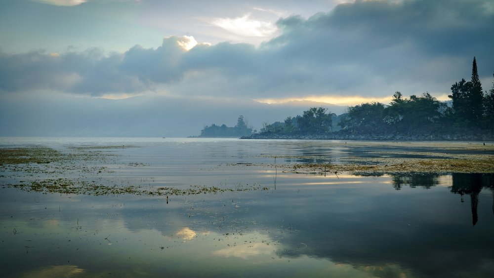 Photograph by Allan Santamaría