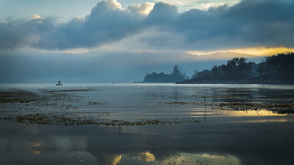 Photograph by Allan Santamaría