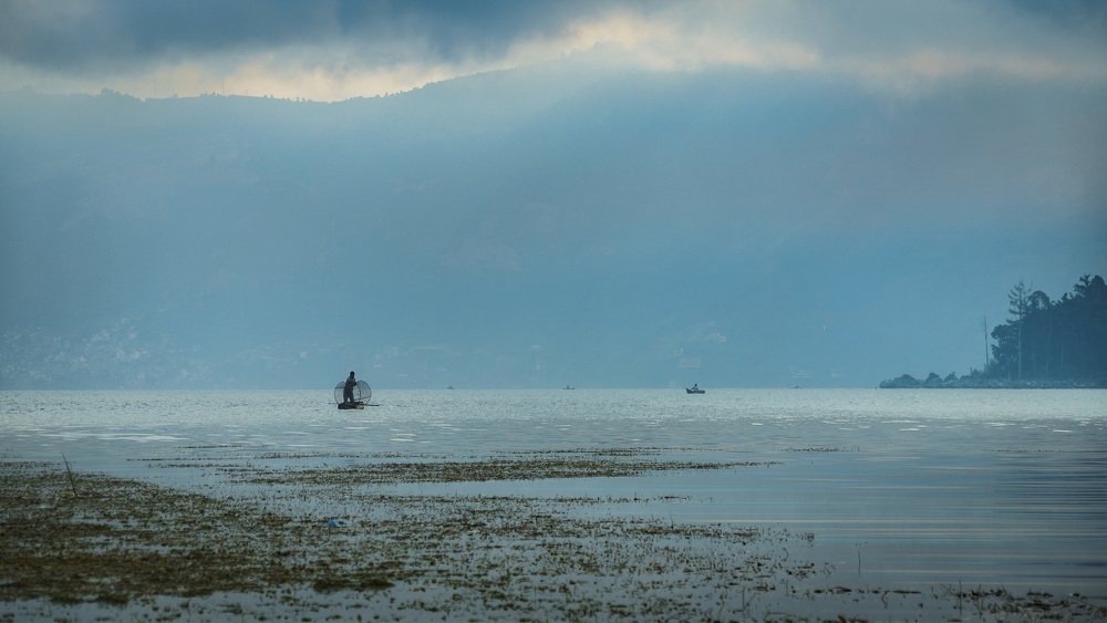 Photograph by Allan Santamaría