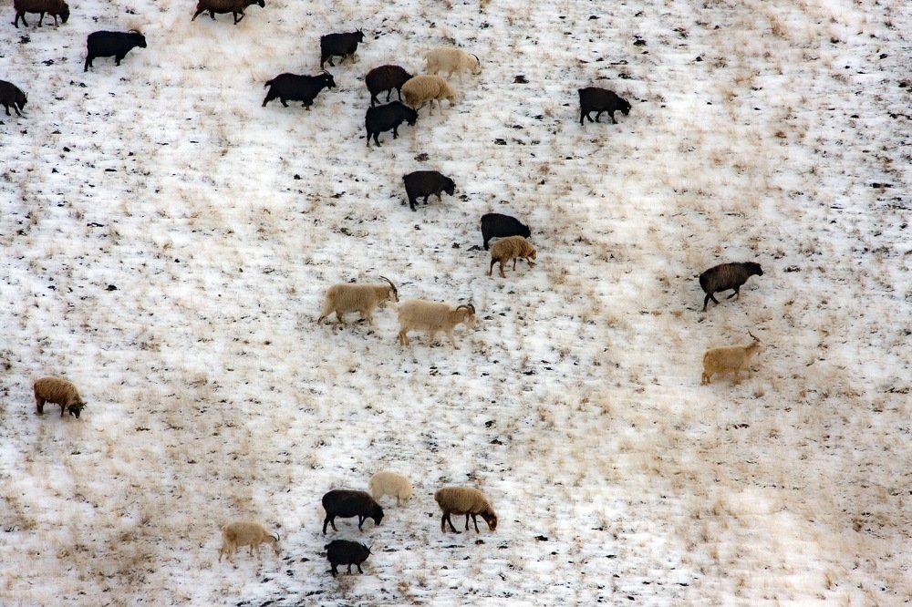 Photograph by петр чиков