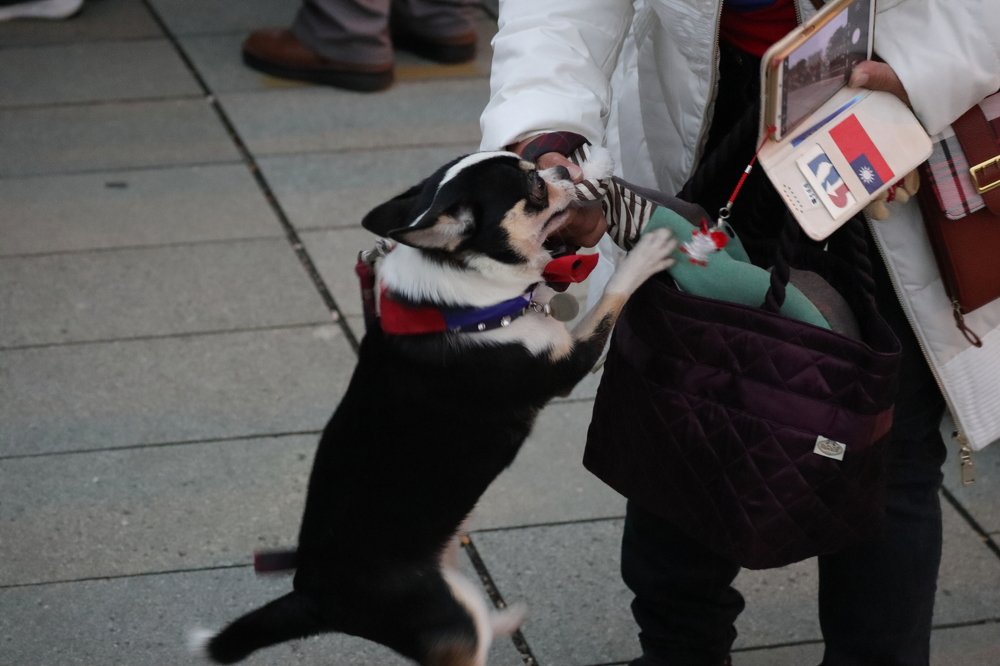 Photograph by Miona Lee