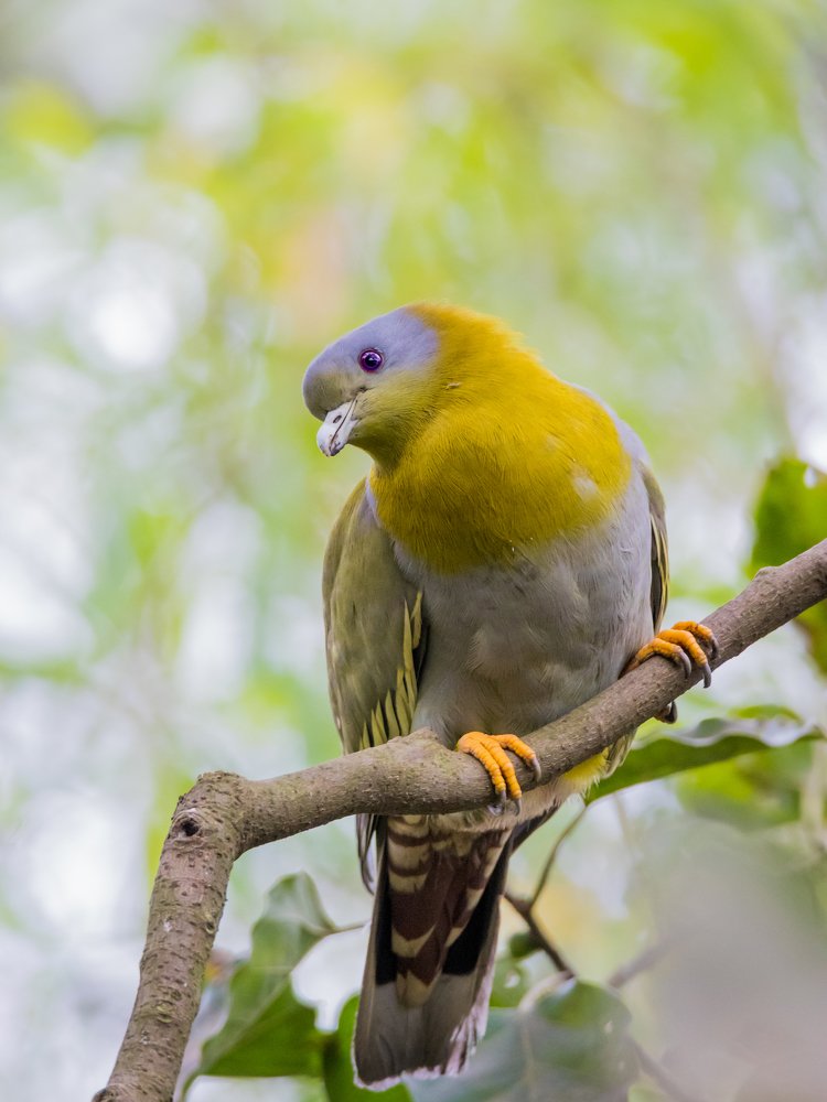 Photograph by Rokibul Hasan