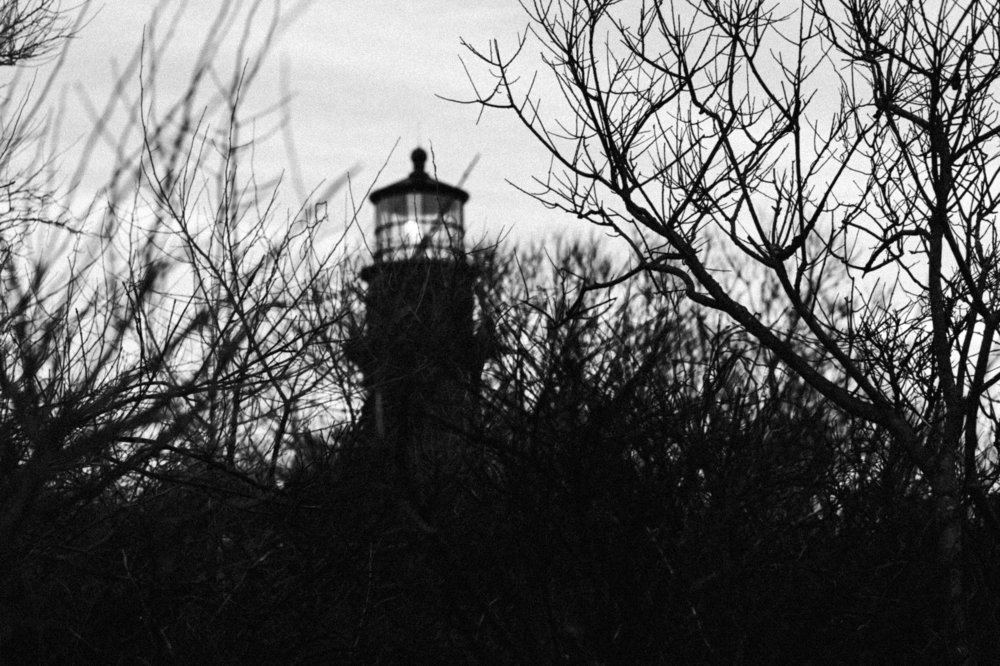 Photograph by Alex Gordeev