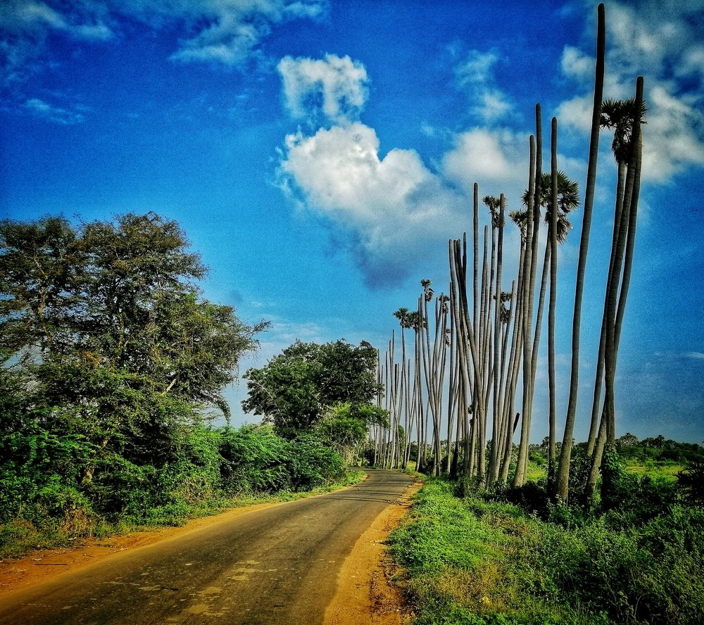 Village travel