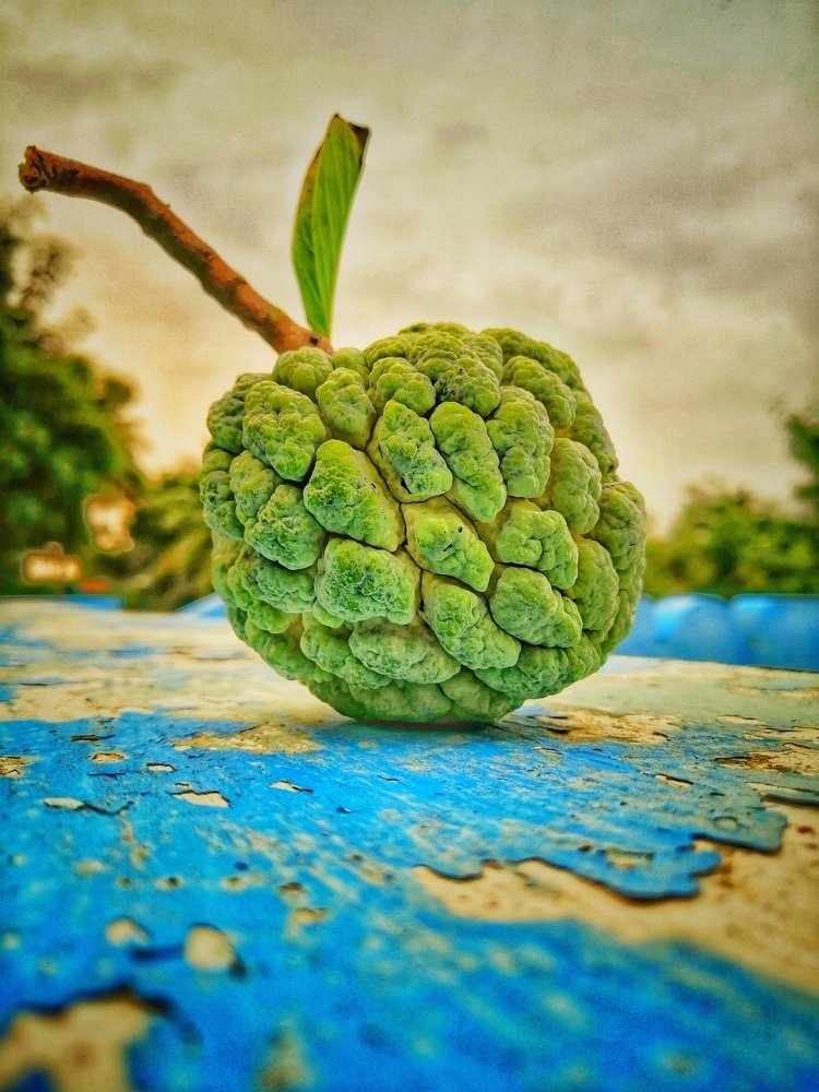 custard apple fruit