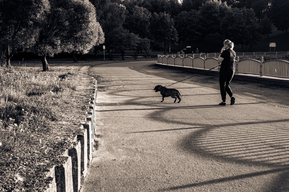 Photograph by Людмила Казак