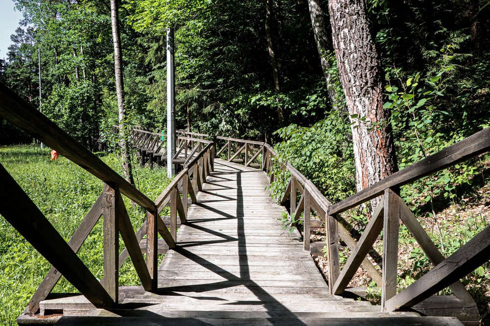 Photograph by Людмила Казак