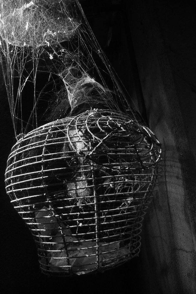 Artificial and natural geometry.