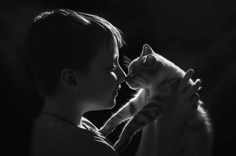 Детская дружба !...