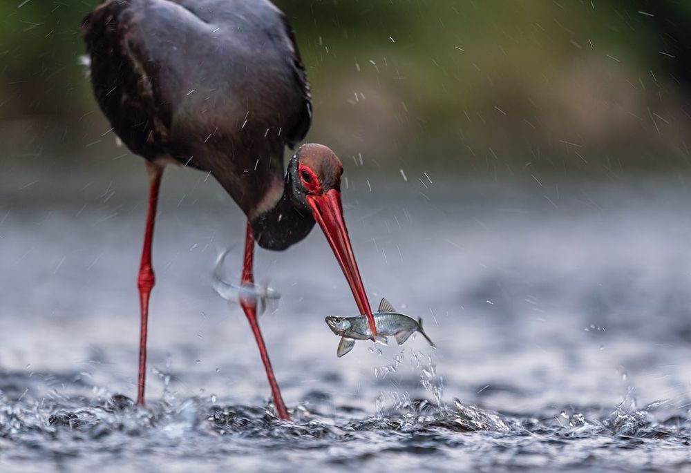 Photograph by Sławek Przybylski