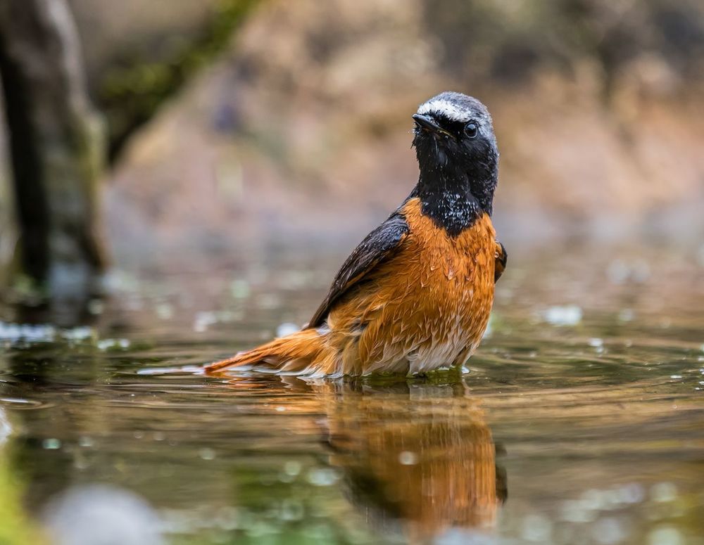 Photograph by Sławek Przybylski