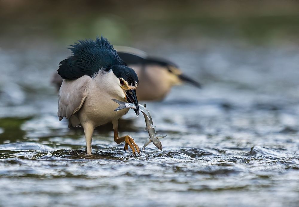 Photograph by Sławek Przybylski