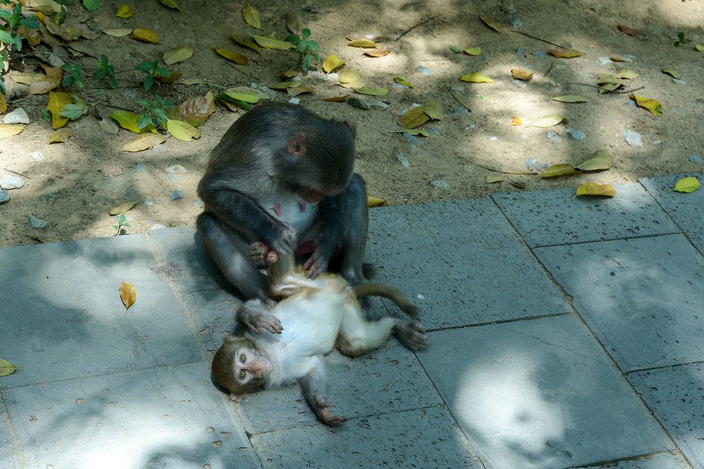 Photograph by Ульяна Юдина