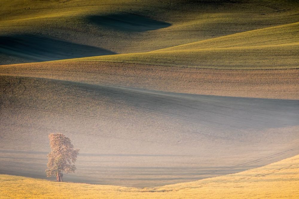Photograph by Sławek Przybylski
