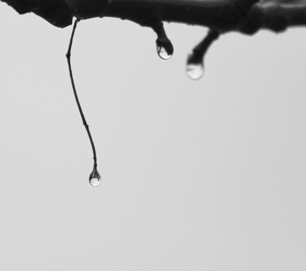 Фотография автора Оксана Лоншакова