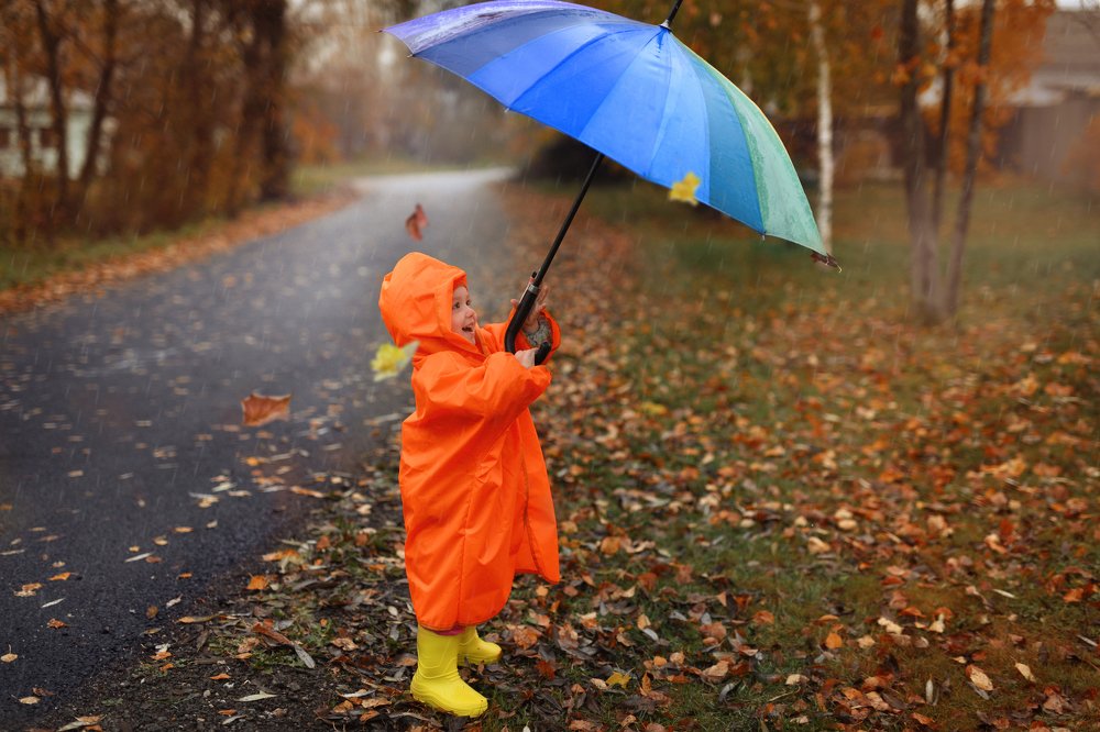 Что нам снег, что нам зной,что нам дождик проливной