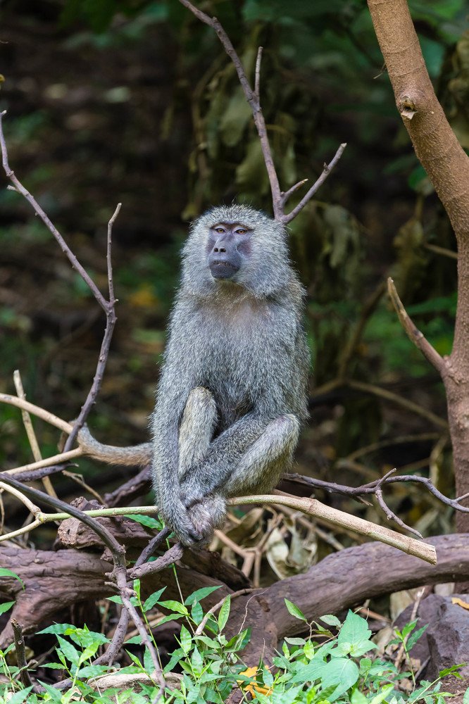 Photograph by Сергей Андрейчук