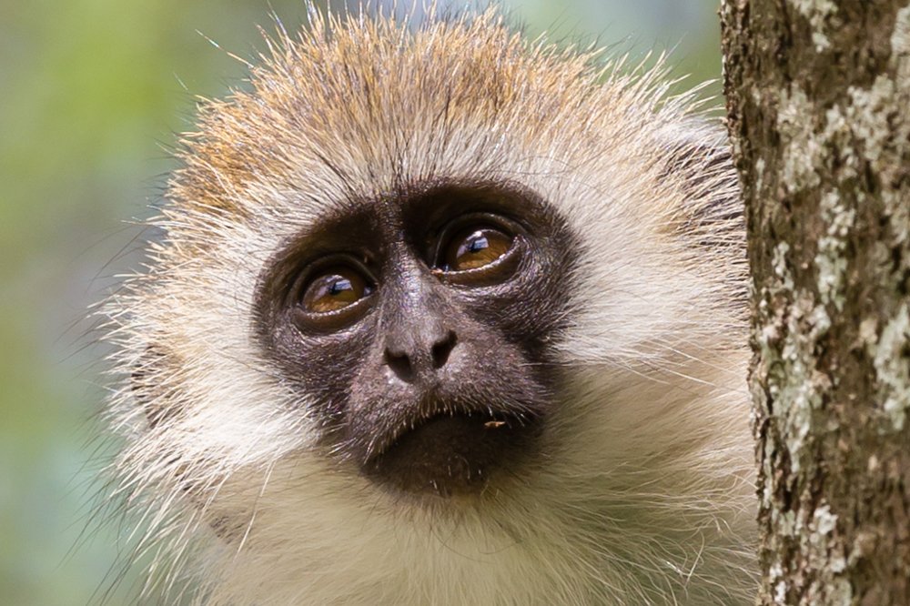 Photograph by Сергей Андрейчук