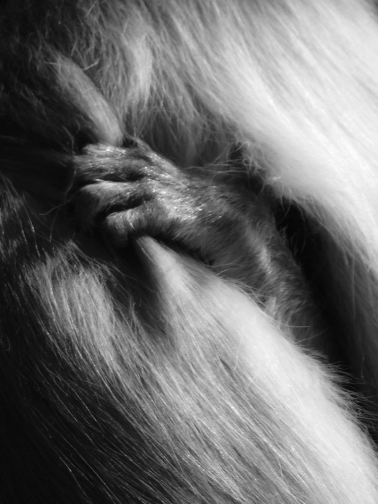 Photograph by Upayan Chatterjee