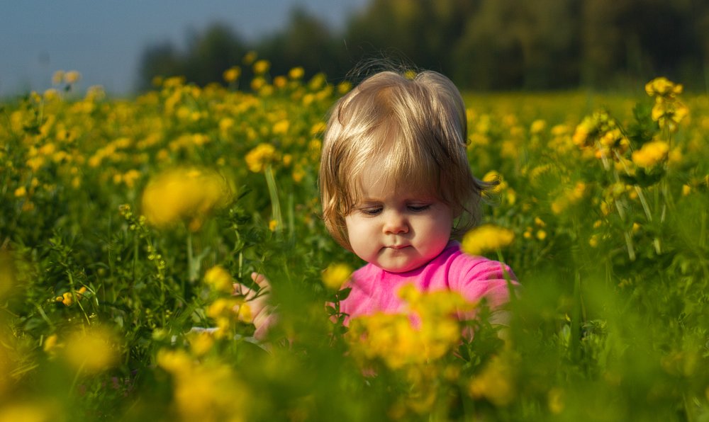 Photograph by Игорь Меньшиков