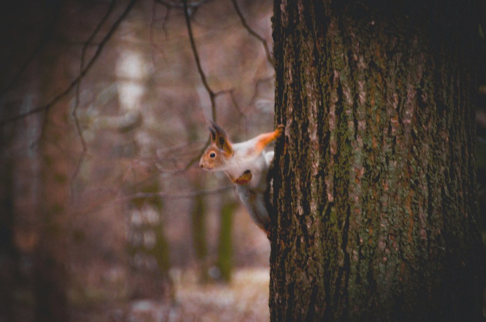 Photograph by Alena Shkurlakova