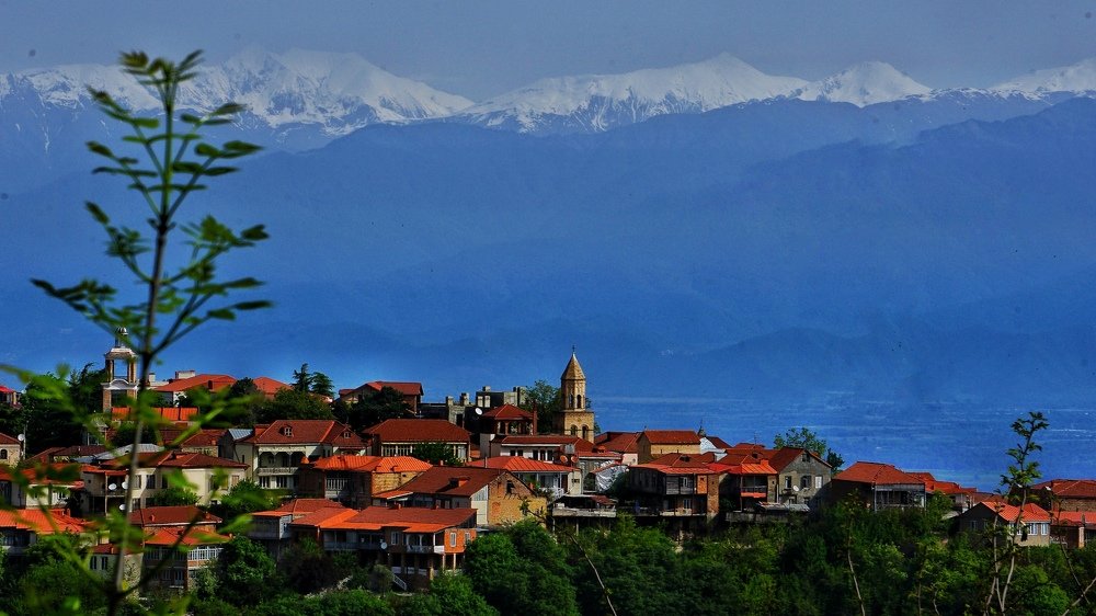 Photograph by Katrin Radish