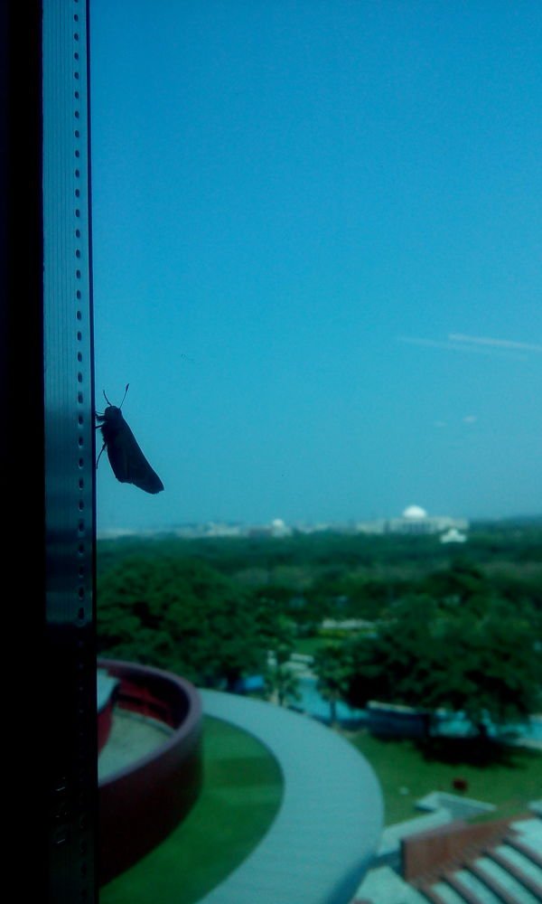 Photograph by Mamta Sharma