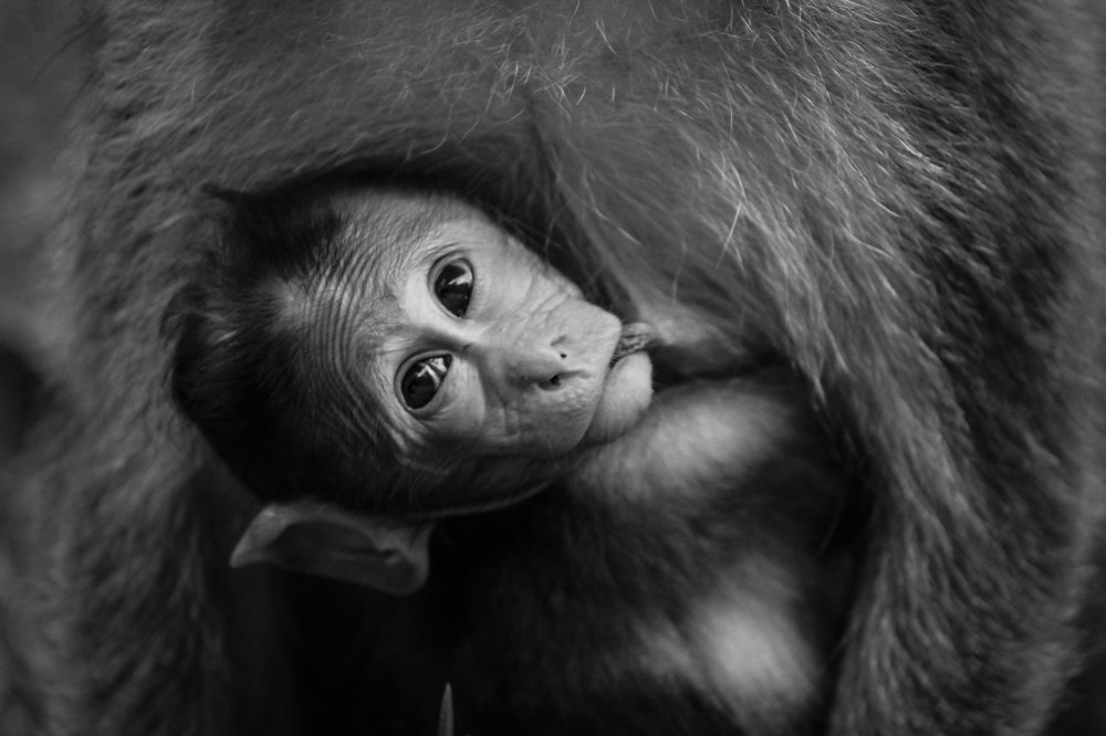 Photograph by muhammed Ali