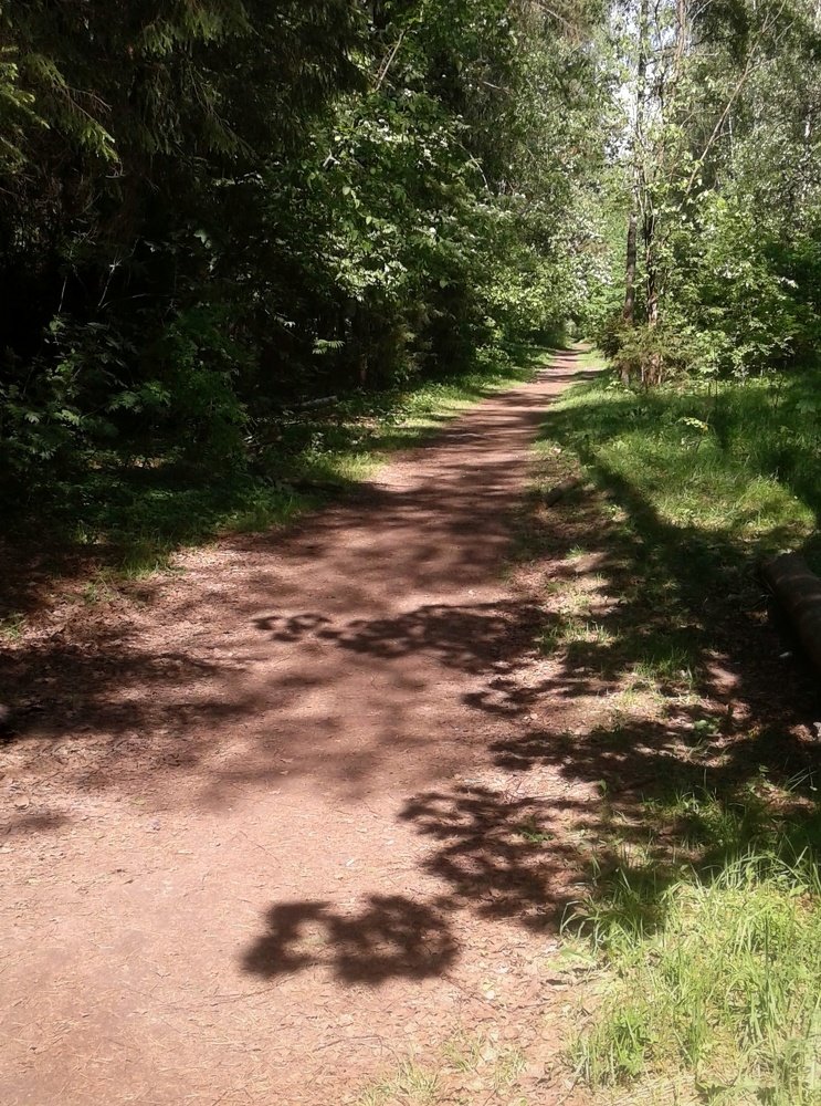 Photograph by Людмила М