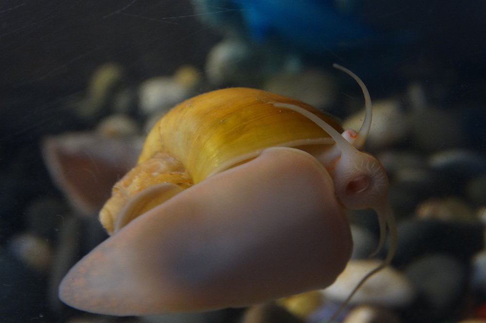 Photograph by елена кузьмина